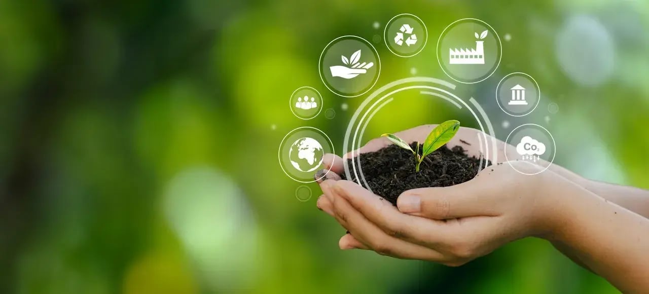 Illustratie van duurzaamheid in twee handen met aarde en een plantje in het midden.