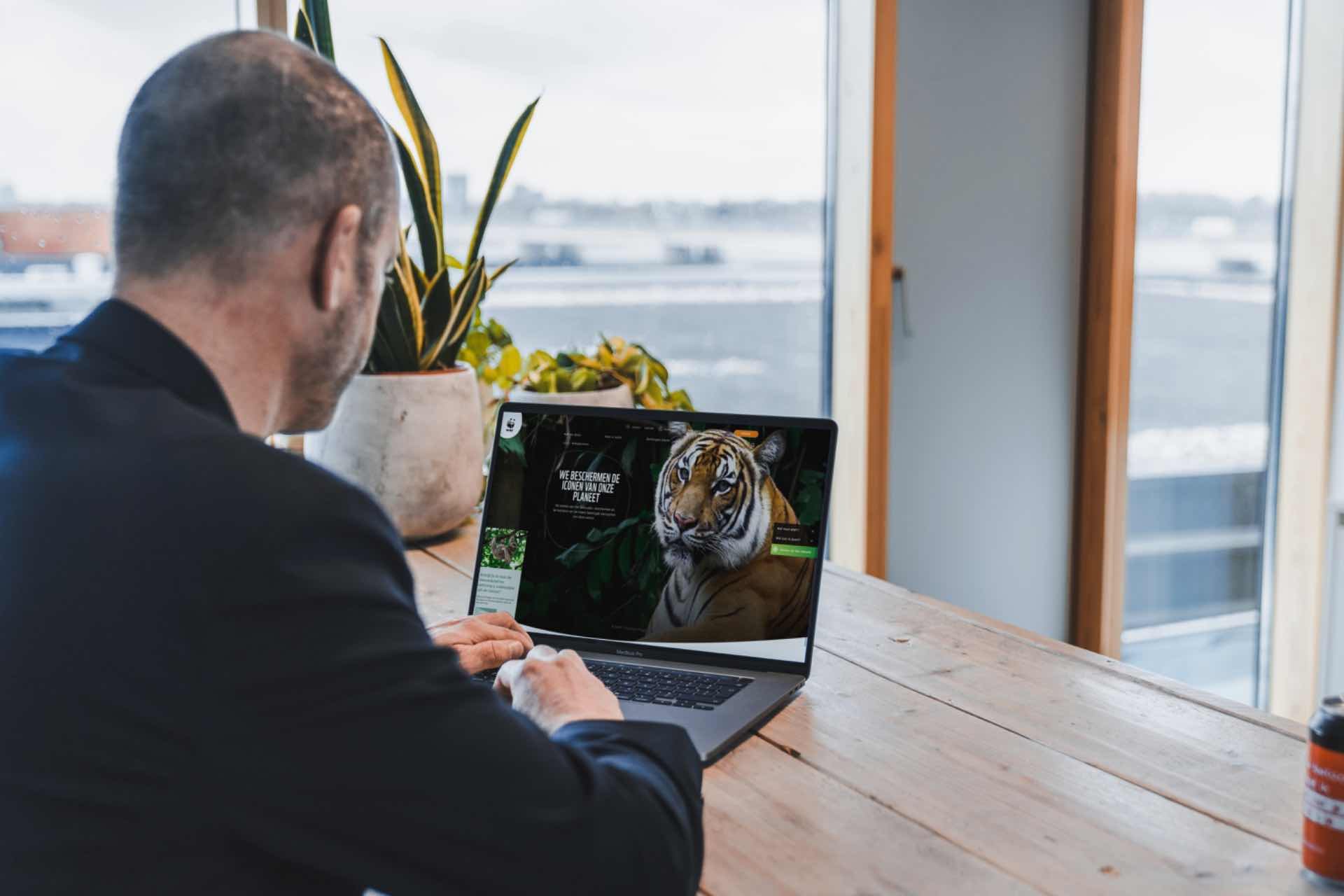 Een man werkt op een laptop met een afbeelding van een tijger op het scherm, met uitzicht op de stad.