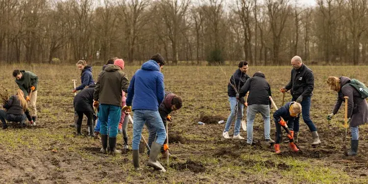 A group of people raking in nature.
